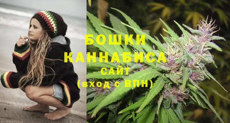 Конопля White Widow  купить наркотики сайты  Грязи 